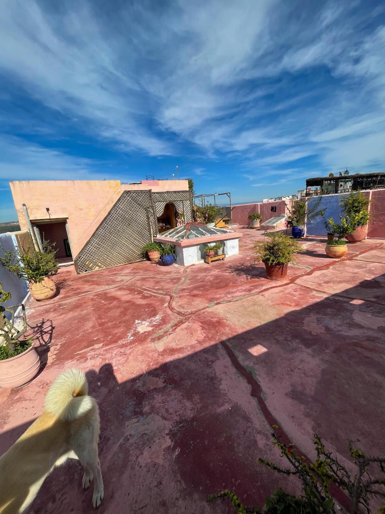 La Maison Haute Larache Morocco ภายนอก รูปภาพ